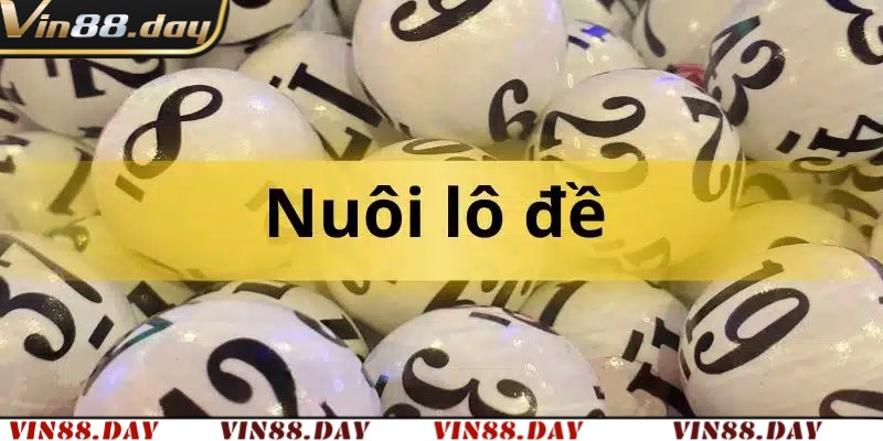 Bí Kíp Nuôi Lô Đề Có Hiệu Quả Thắng Cược Tỷ Lệ Cao Vin88