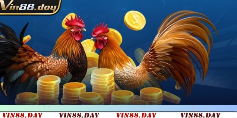 Đá Gà Mạng – Cá Cược Online Đỉnh Cao Cùng Các Chiến Kê