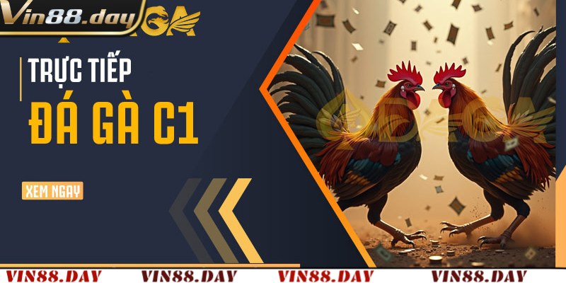 Đá Gà Trực Tiếp C1 Tại Vin88 – Đá Gà Đòn Cup C1 Đỉnh Cao