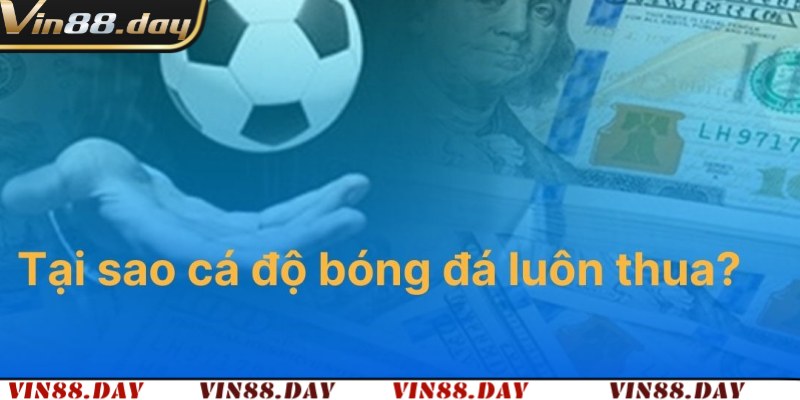 Tại Sao Cá Độ Bóng Đá Luôn Thua: Cùng Vin88 Phân Tích